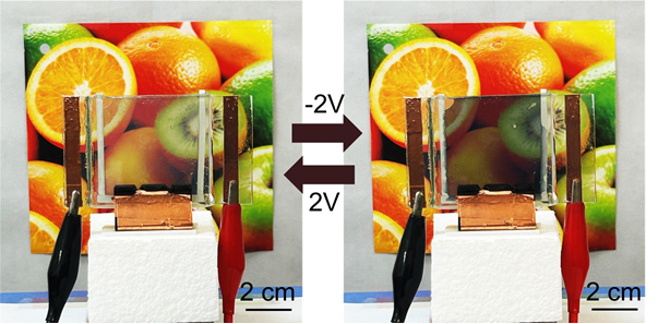 dual-functional electrochromic